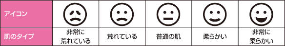 肌状態の表示