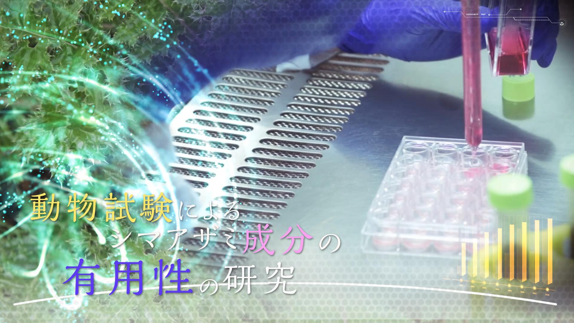 動画サムネイル